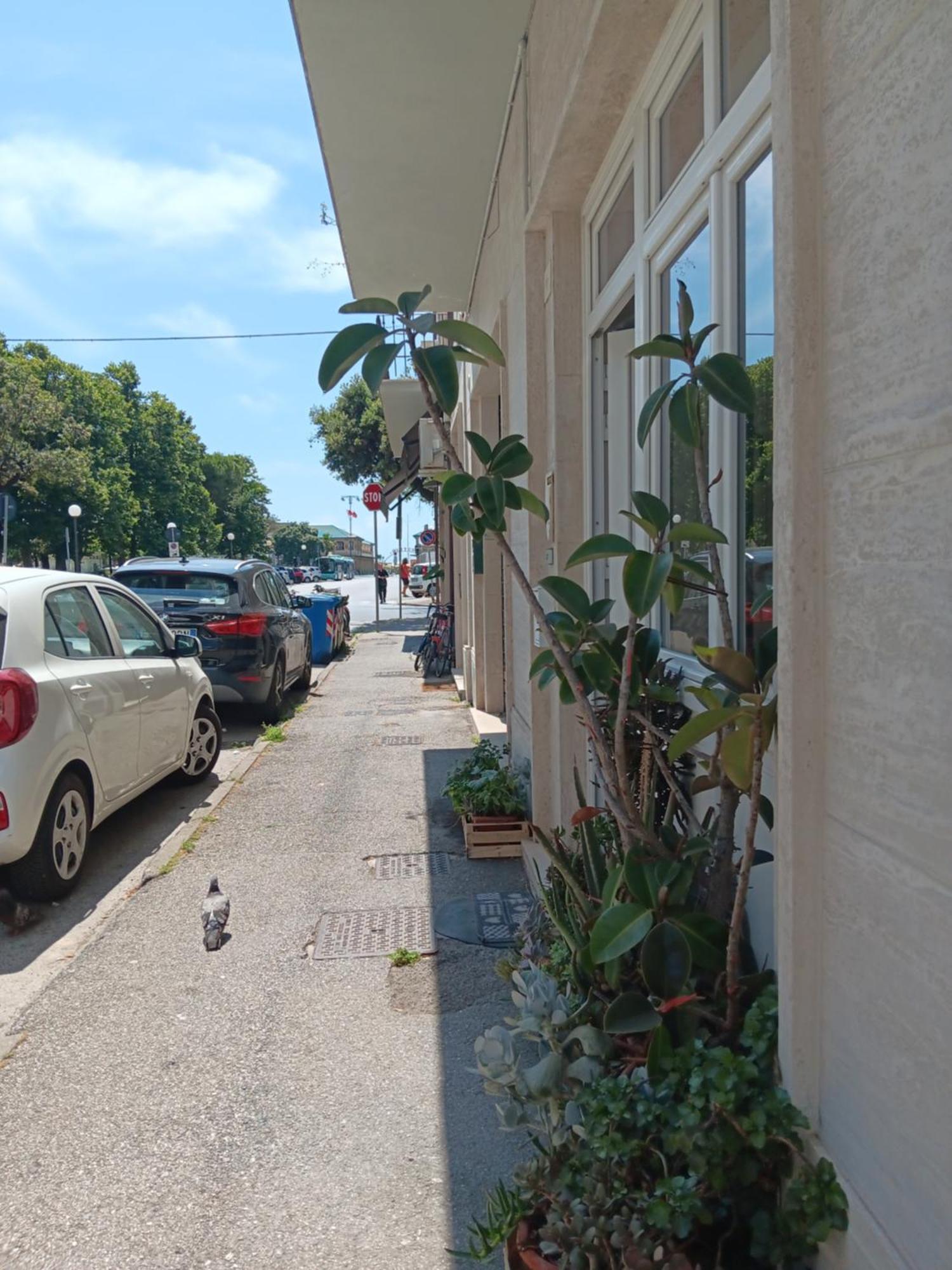Sea Side Studio Viareggio Exterior foto